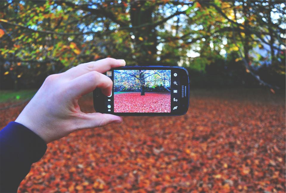trees technology screen samsung picture photographer photograph phone mobile leaves hands galaxy Fall autumn 