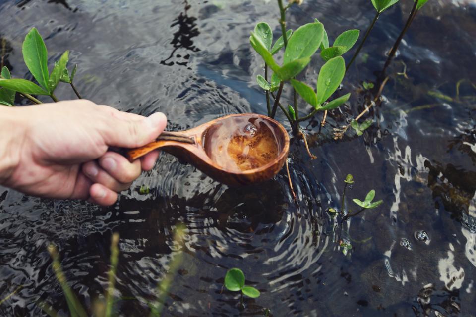 wooden water spoon river plants hands 