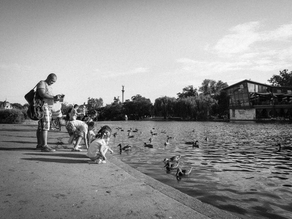 water photographer man kids guy feeding father ducks children canal blackandwhite birds 