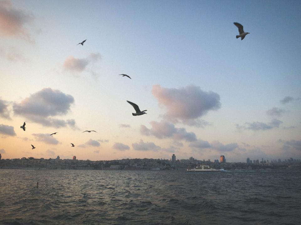 water view turkey skyline sky seagulls Istanbul coast clouds city buildings boats birds 