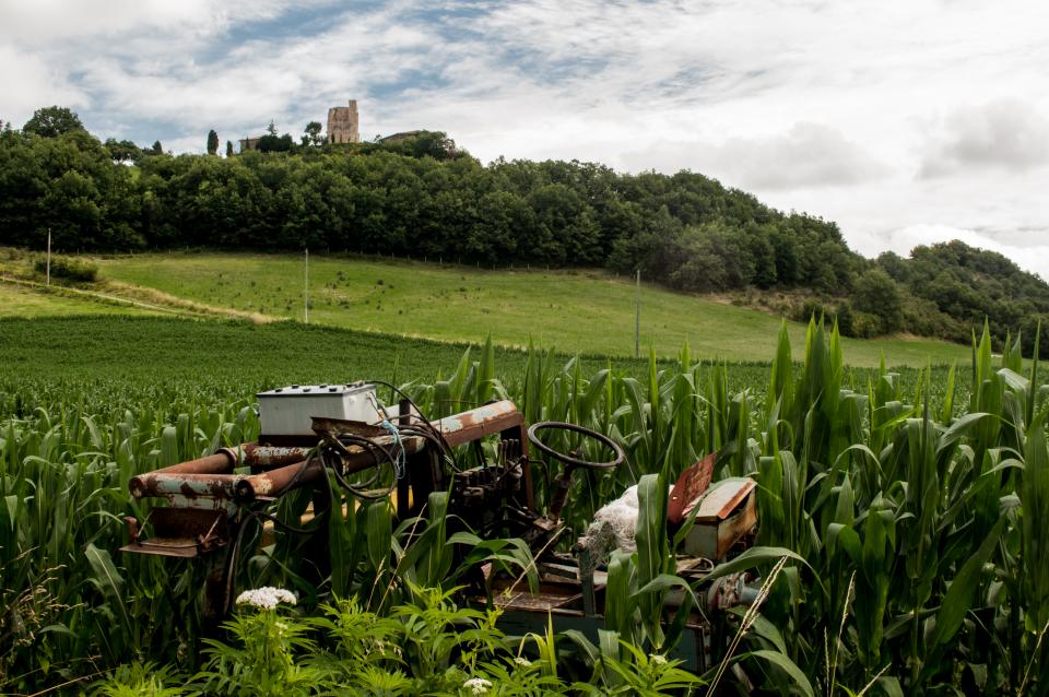 tractor, broken, rust, green, fields, leaves, trees, landscape, country, rural