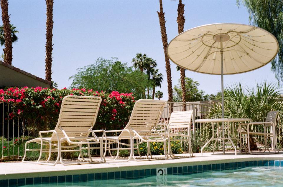 umbrella swimmingpool sunshine plants patiochairs palmtrees hot flowers backyard 