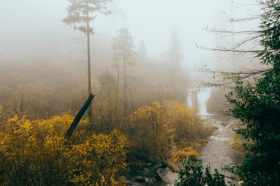 waterfall, river, stream, nature, woods, trees, bushes, foggy, mist, wet, outdoors, grey