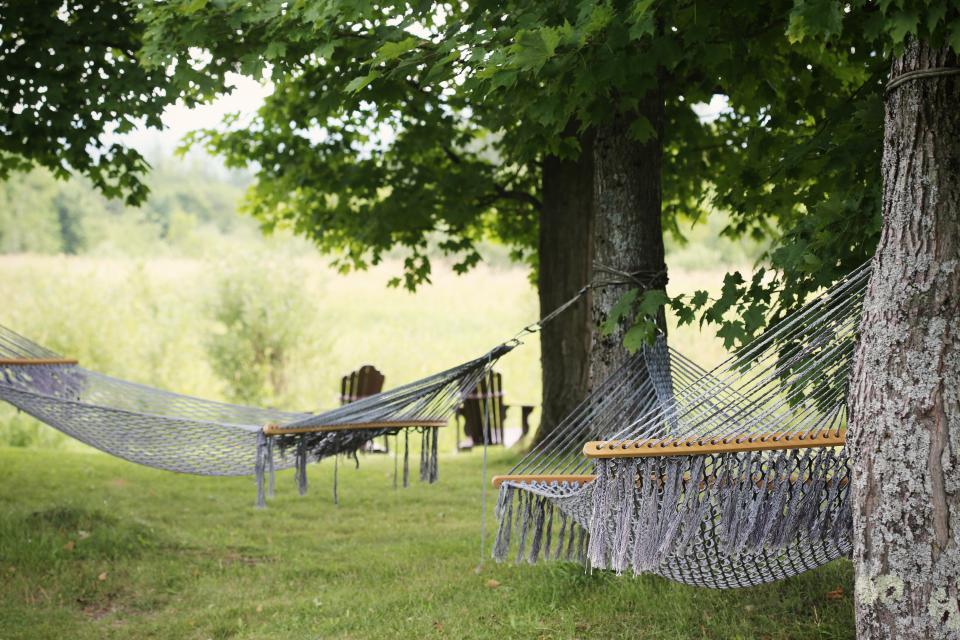 trees rural relaxing nature leaves hammocks grass country chill 