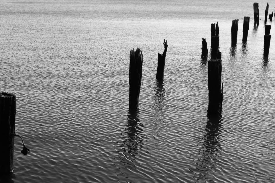 wood water ripples pillars blackandwhite 