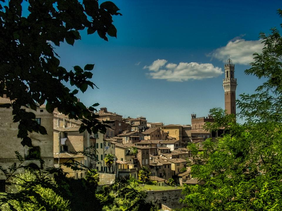 tuscany town tower sky siena Italy houses hills city buildings architecture 