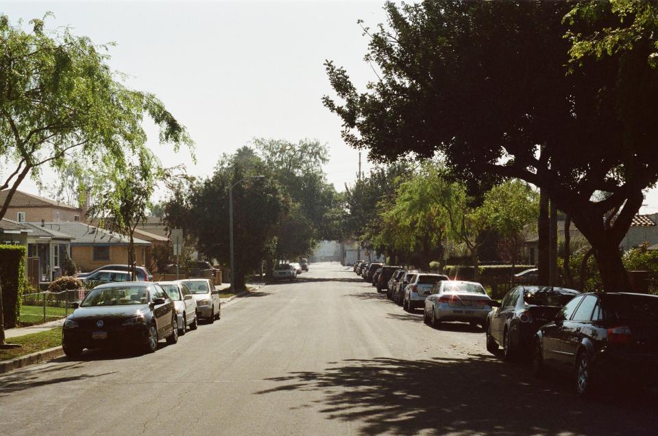 trees sunny suburbs street sidewalk santamonica road residences parked neighbourhood neighborhood houses cars 