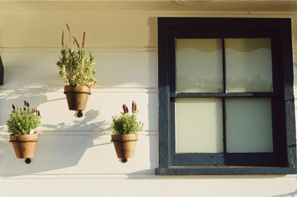 window wall siding pots flowers 