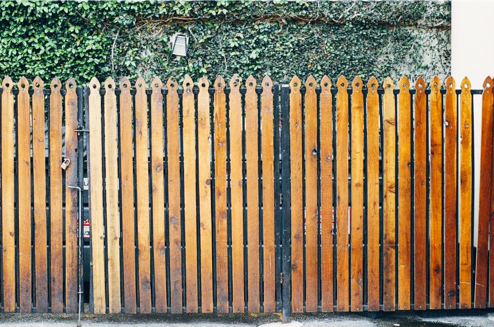 wood vines lock leaves gate fence 