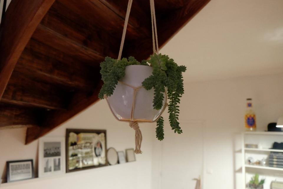 ropes pot plant indoors hanging decor 
