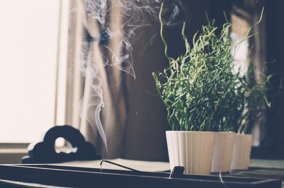 smoke smell scent plant incense burn 