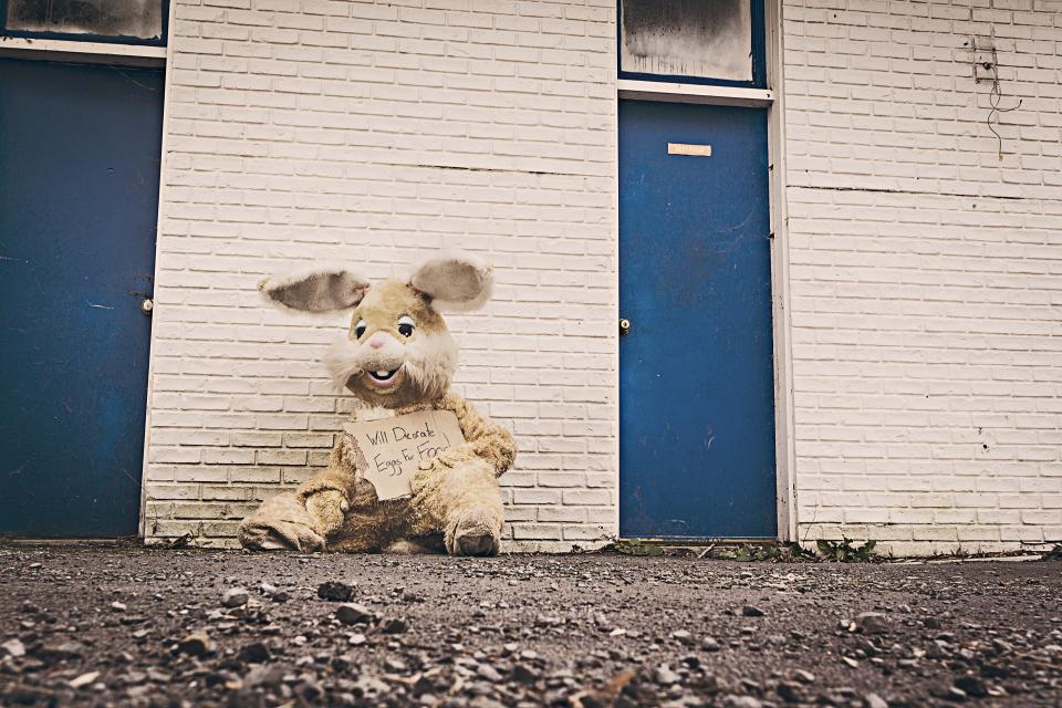 wall sign rocks rabbit ground doors costume bunny bricks blue 