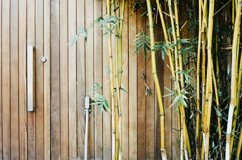 wood lock leaves gate branches bamboo 