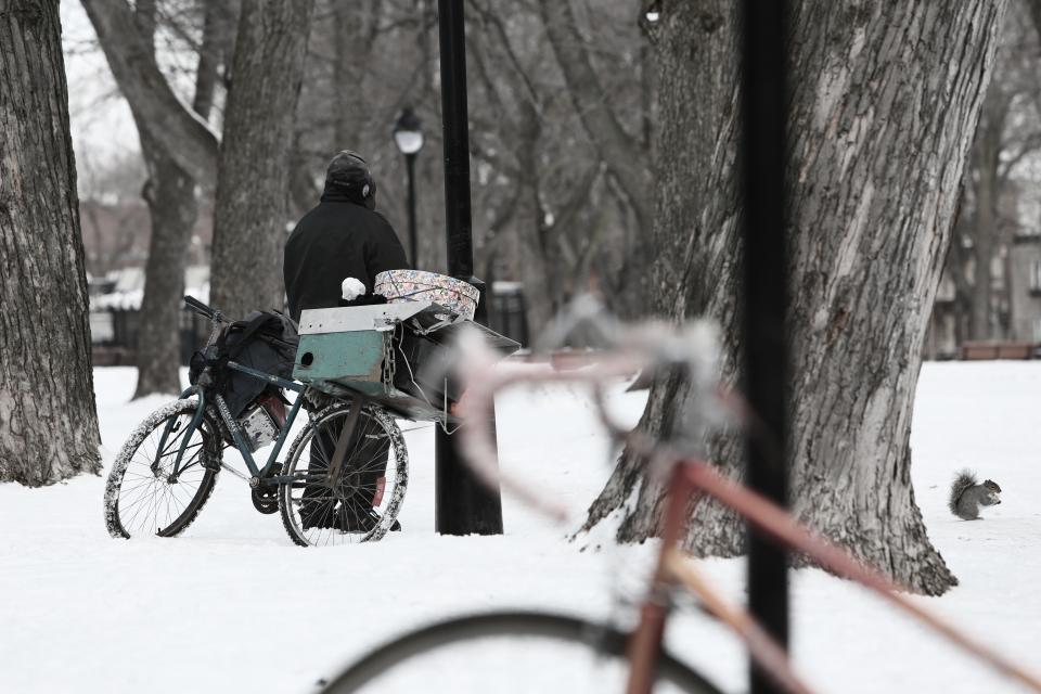 winter treetrucks trees snow man lampposts homeless cold bike bicycle bark 