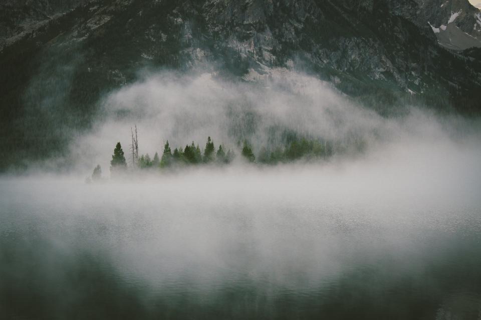 water trees rocks peaks mountains mist hills hazy haze fog cliffs 