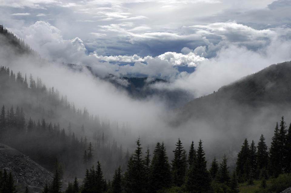 woods trek trees sky outdoors nature mountains hills hike haze fog clouds 
