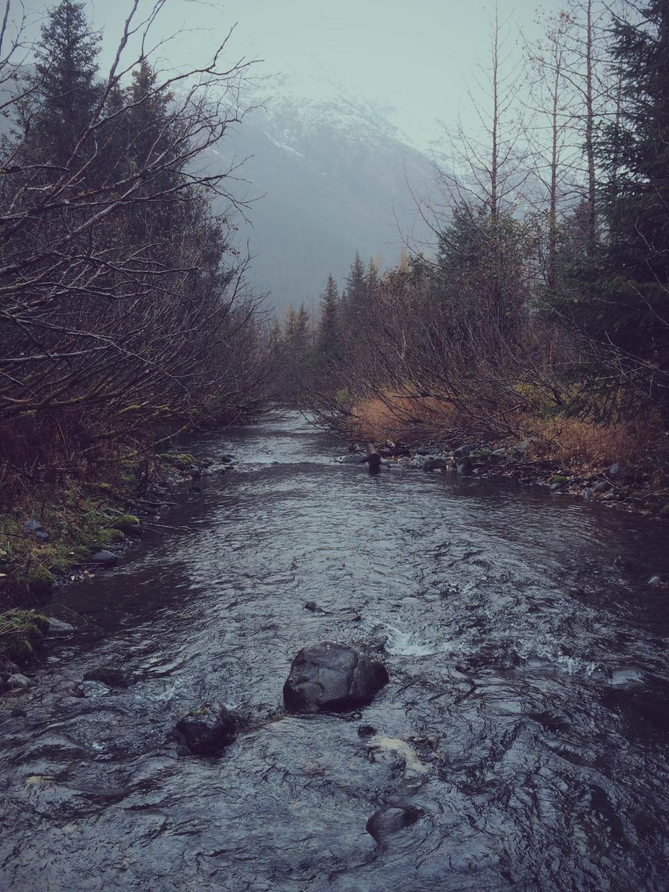 river, stream, water, rocks, trees, nature, outdoors, mountains, fog, grey