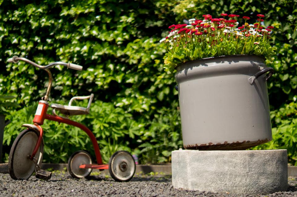 tricycle pots leaves garden flowers 