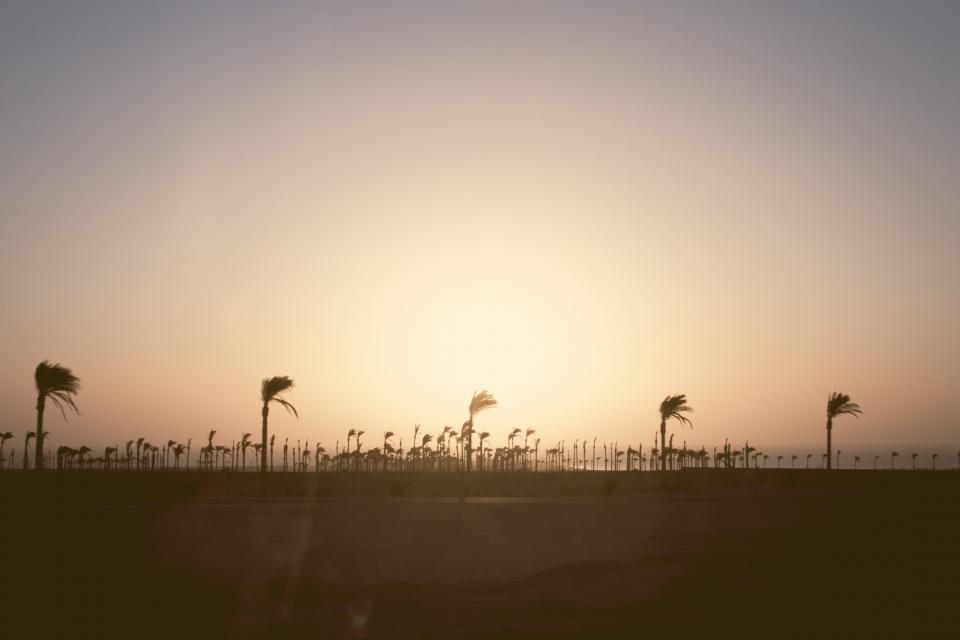 water sunset sun sky palmtrees ocean dusk boardwalk beach 