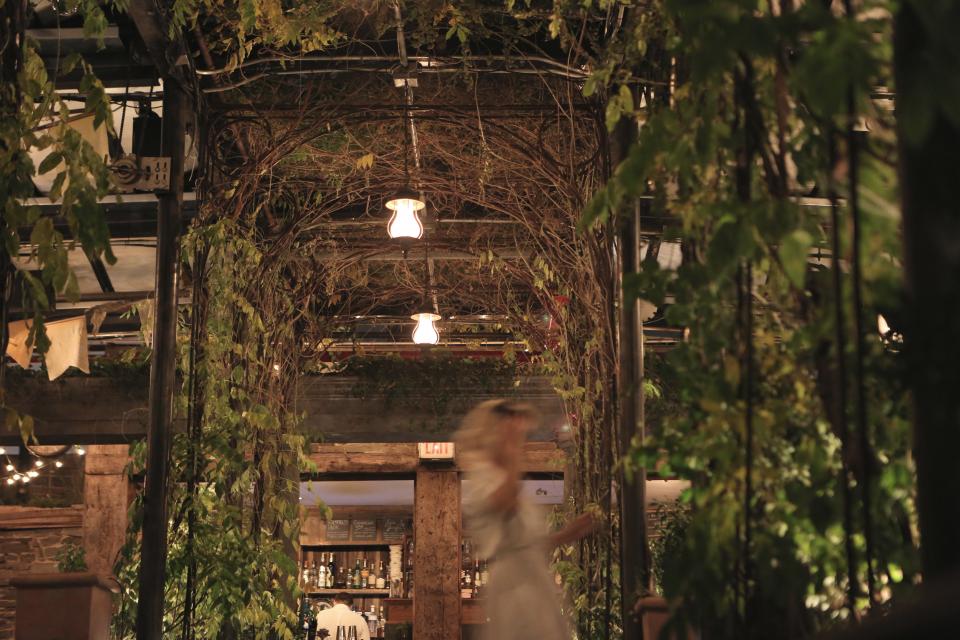 vines restaurant lights leaves lamps entrance bottles bar arches 