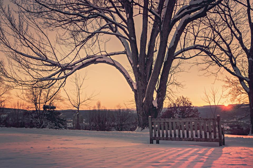 wood winter view trees sunset snow mountains horizon cold bench 