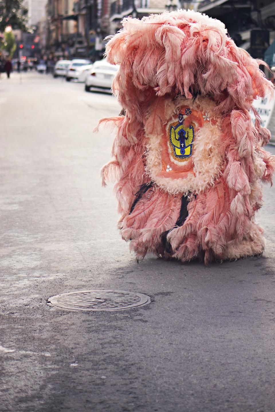 street pink pavement manhole fur costume  