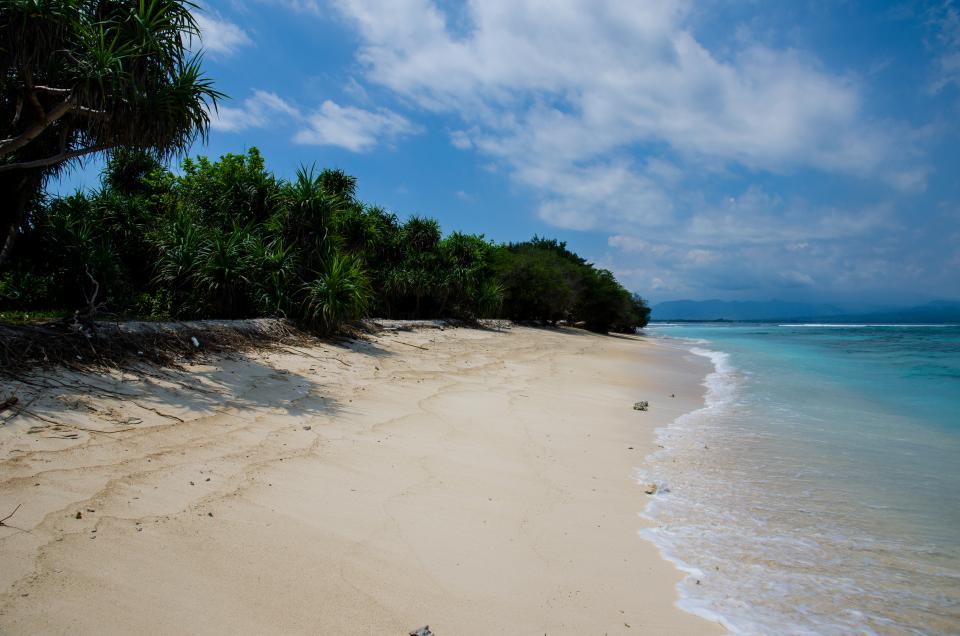 beach, sand, water, ocean, sea, coast, waves, trees, sky, clouds, tropical, paradise, vacation