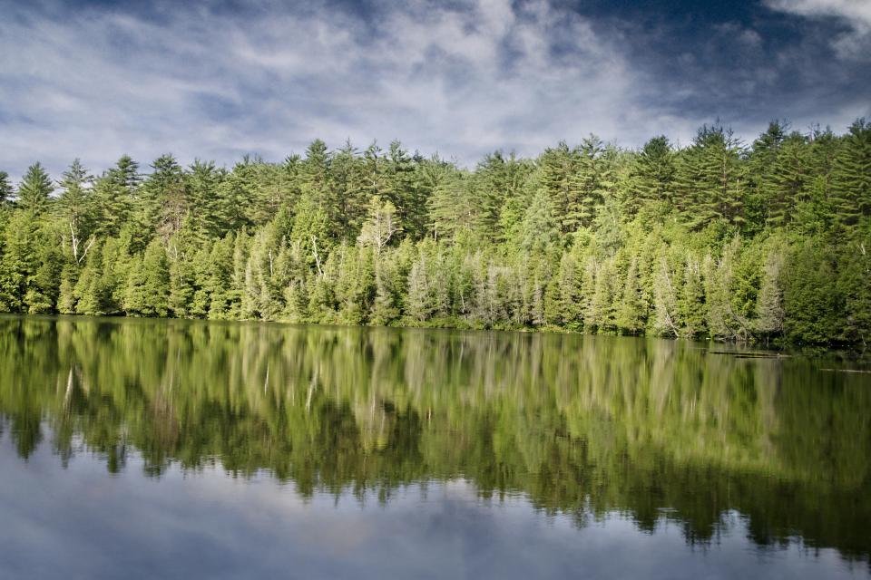 water trees sky reflection nature green forest clouds 