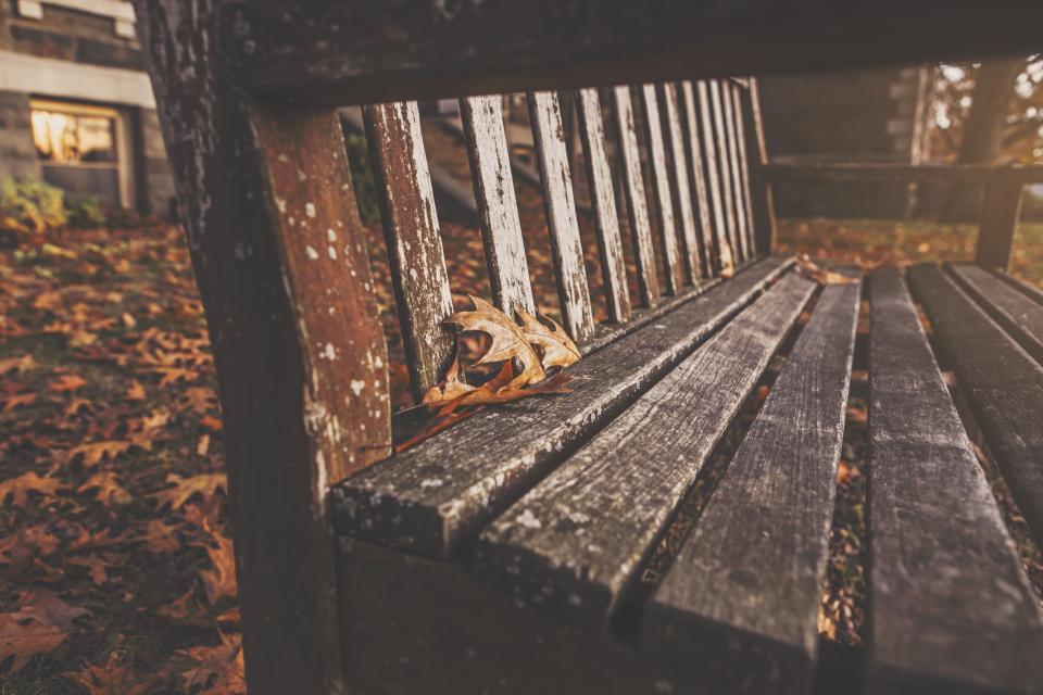 wood leaves bench 