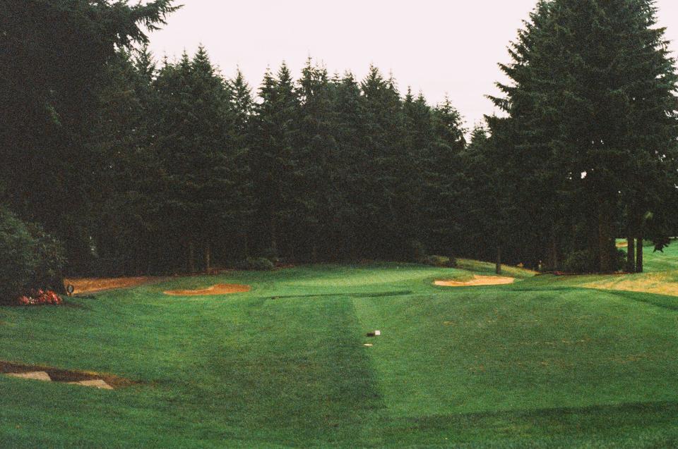 trees sports sandtrap hole green golfcourse forest fairway 