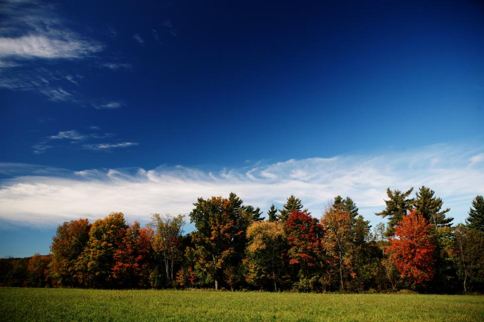 trees sky outdoors nature meadow grass fields colors clouds blue autumn 