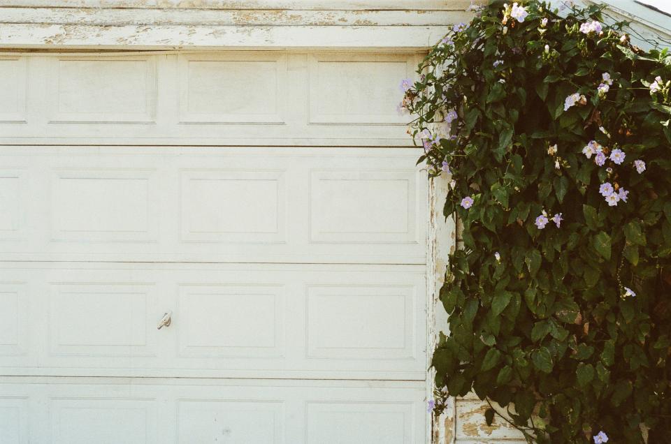 garage door, white, plant, flowers
