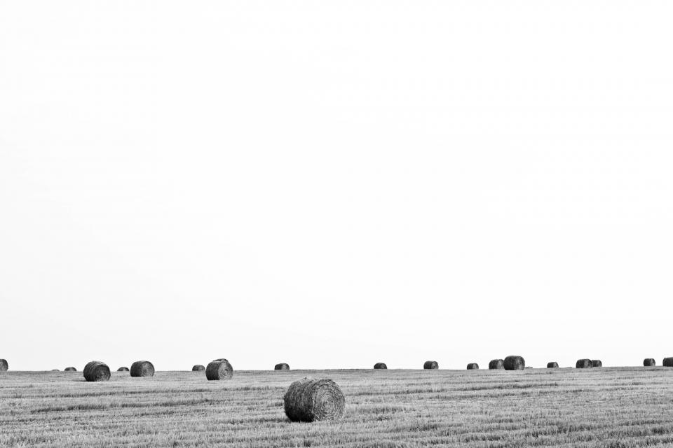 sky hay fields farm country blackandwhite 