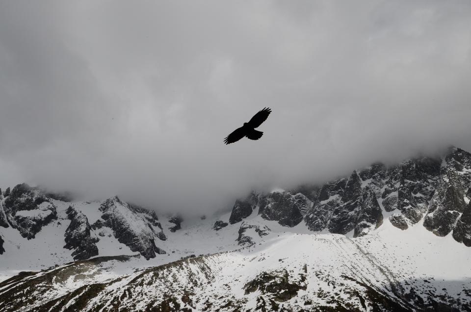 winter snow sky rocks mountains grey flying cold clouds cliffs bird 