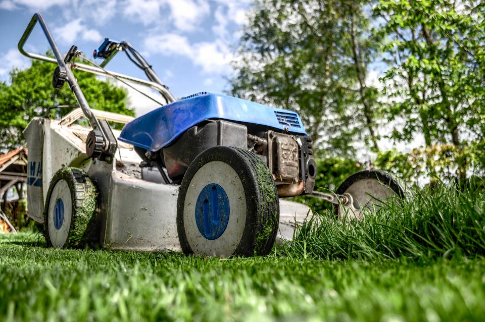 yard lawnmower grass 