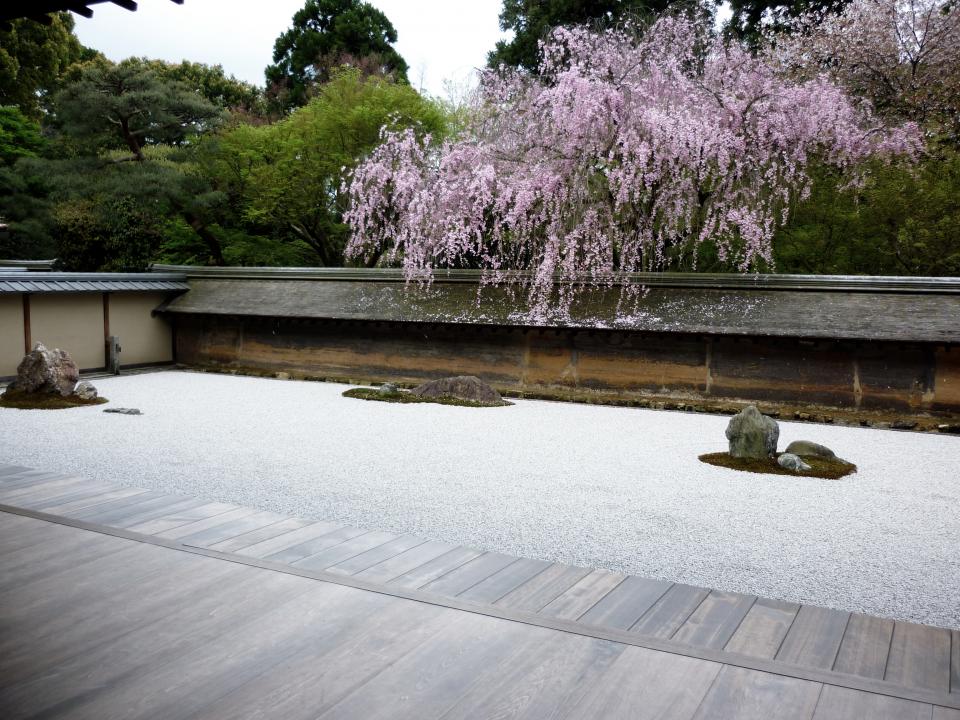 zen wood trees stones Japanese garden flowers Asian 