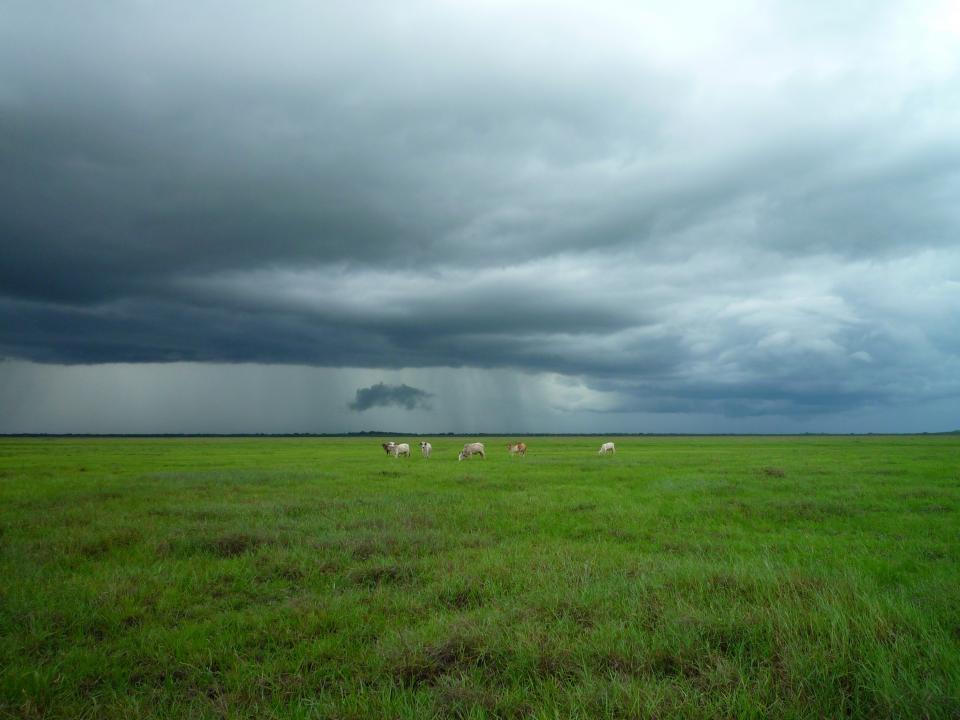 storm green grass fields farm dark country clouds animals 