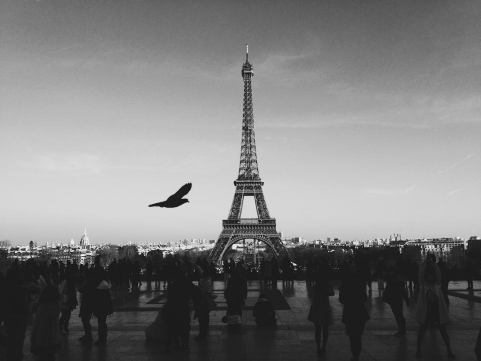 sky people pedestrians Paris france flying EiffelTower city buildings blackandwhite bird 