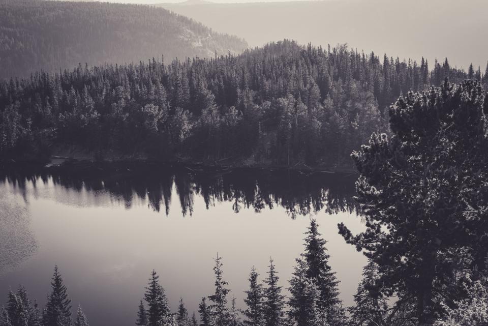 water trees outdoors nature mountains lake hills grey forest blackandwhite 