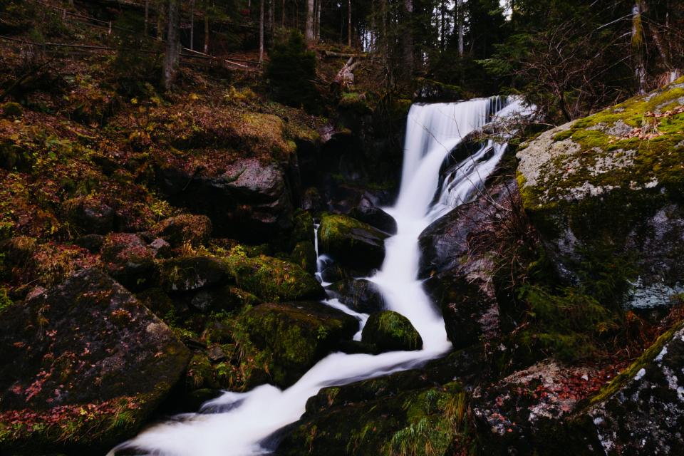 woods waterfall trek Trail stream rocks river outdoors nature moss hike forest 
