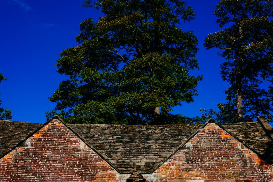 trees sky roof mill bricks blue 