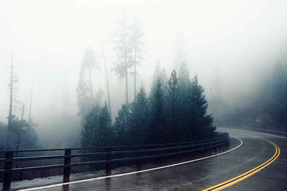 winding trees road railing hill guardrail forest foggy fog 