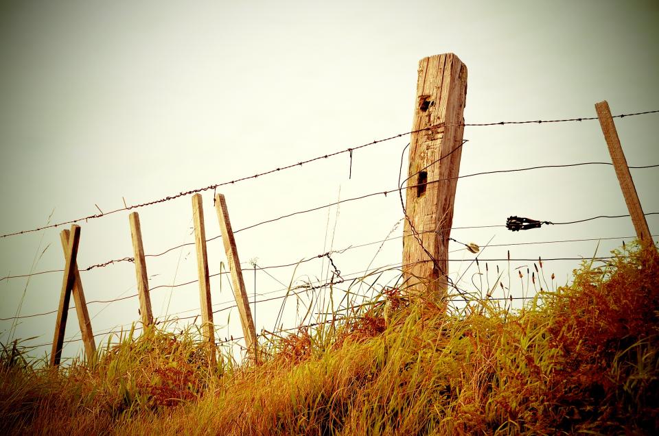 wood wire grey field fence  
