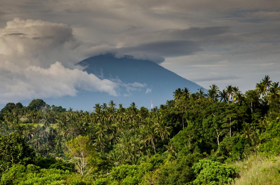 volcano, mountain, smoke, trees, nature, bushes