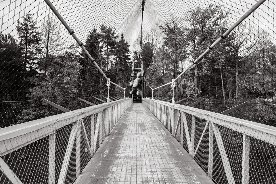wood, bridge, fence, net, cage, rope, fingers, hand, trees