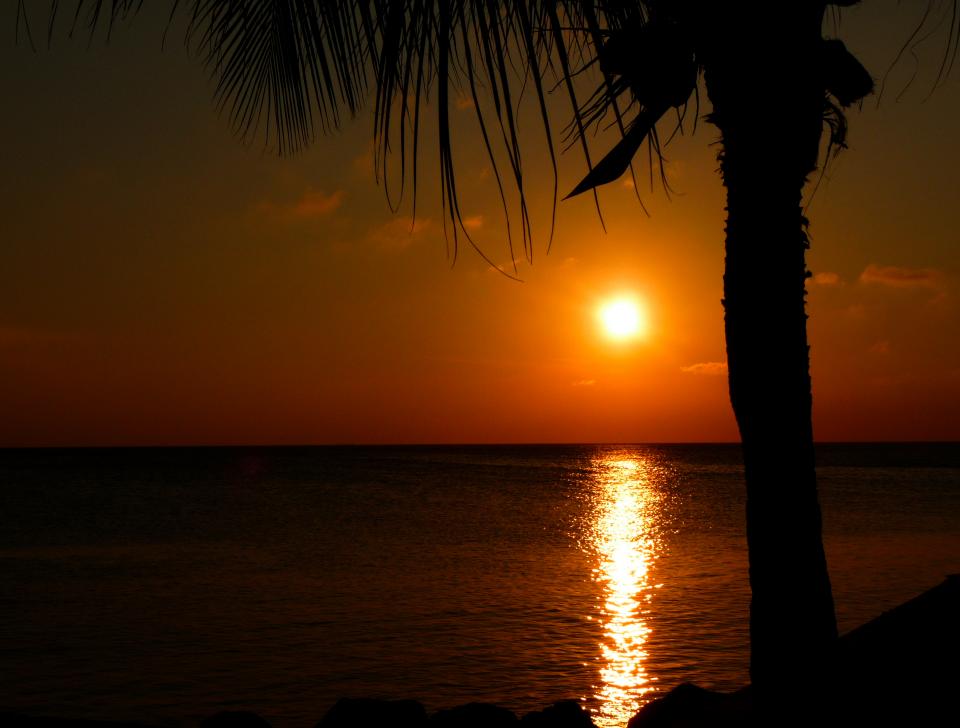 water sunset sea palmtrees ocean night dusk dark Caribbean 