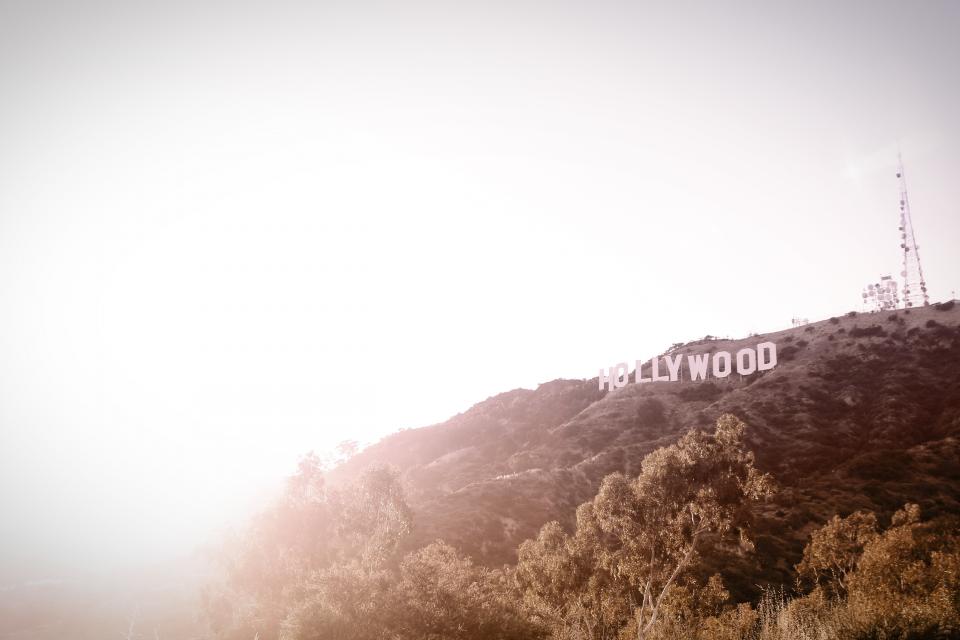 USA UnitedStates trees sign lookout hollywood hills 