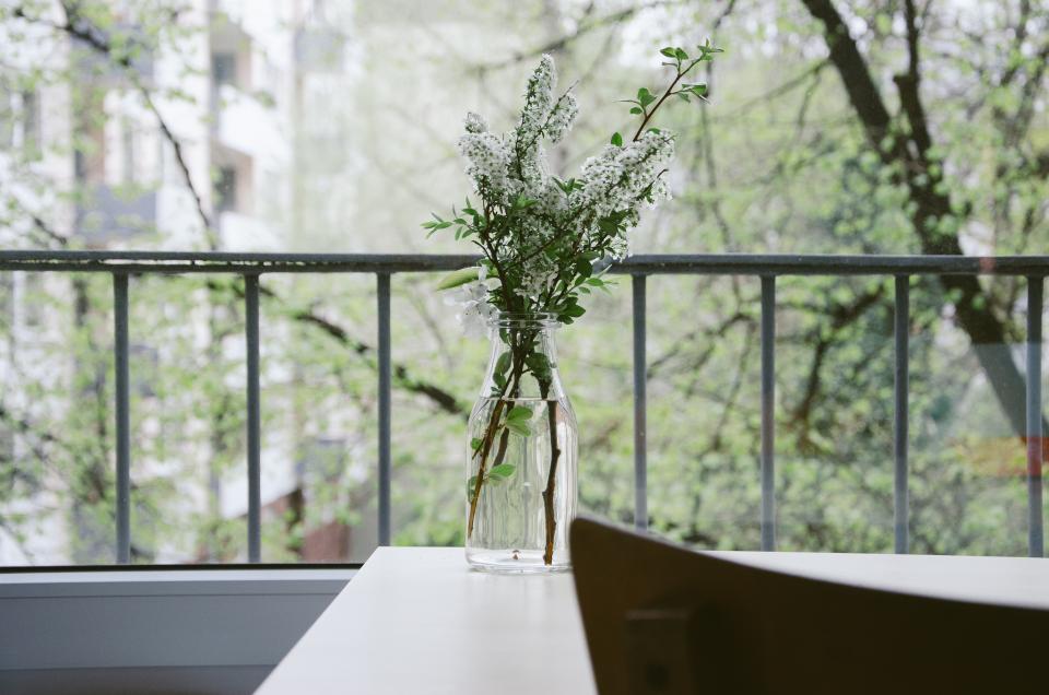 flower, plant, vase, water, glass, balcany, railing, table, trees, stem