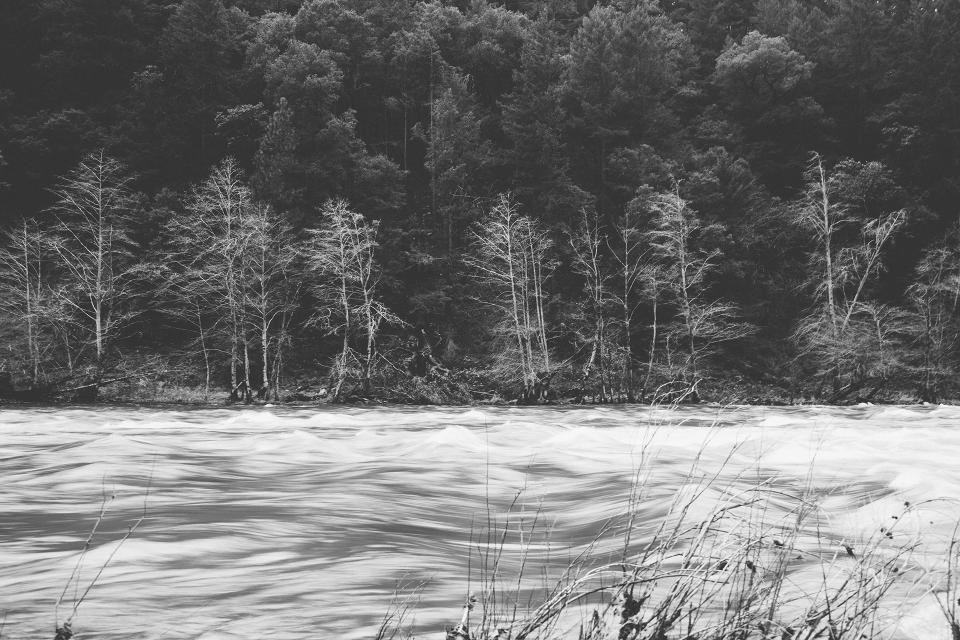 water trees river rapids nature blackandwhite 