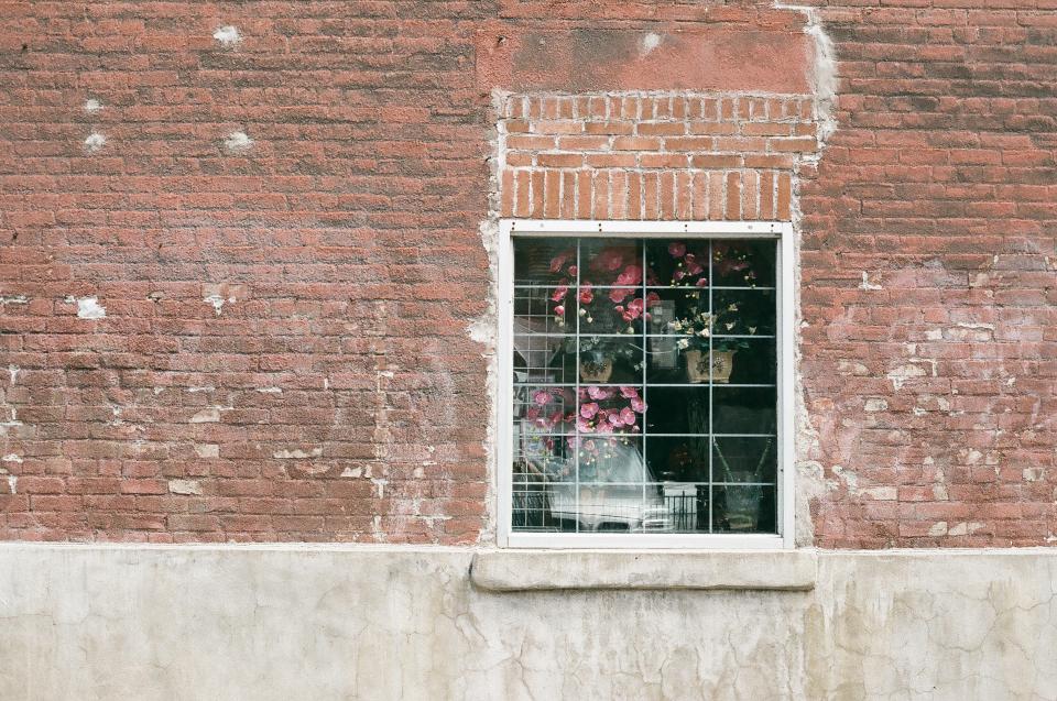 window wall sill plants flowers brick 